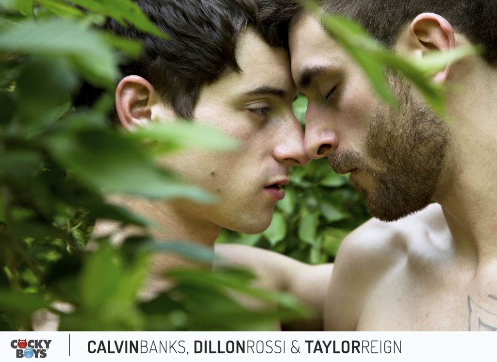 Calvin Banks, Taylor Reign and Dillon Rossi