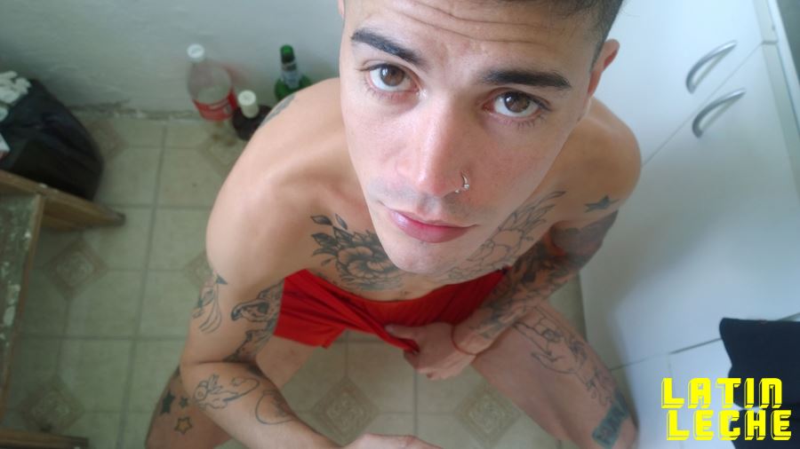 Latin Leche: Numero 2