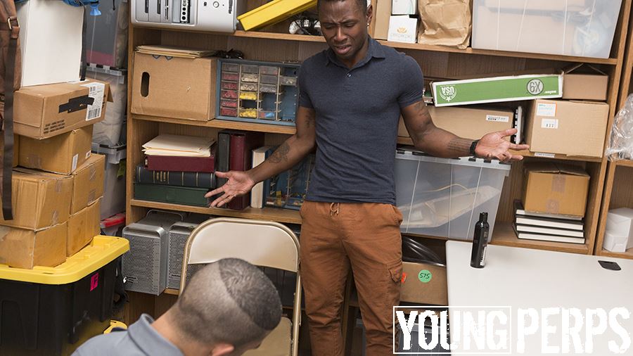 Young Perps: #Case 0023