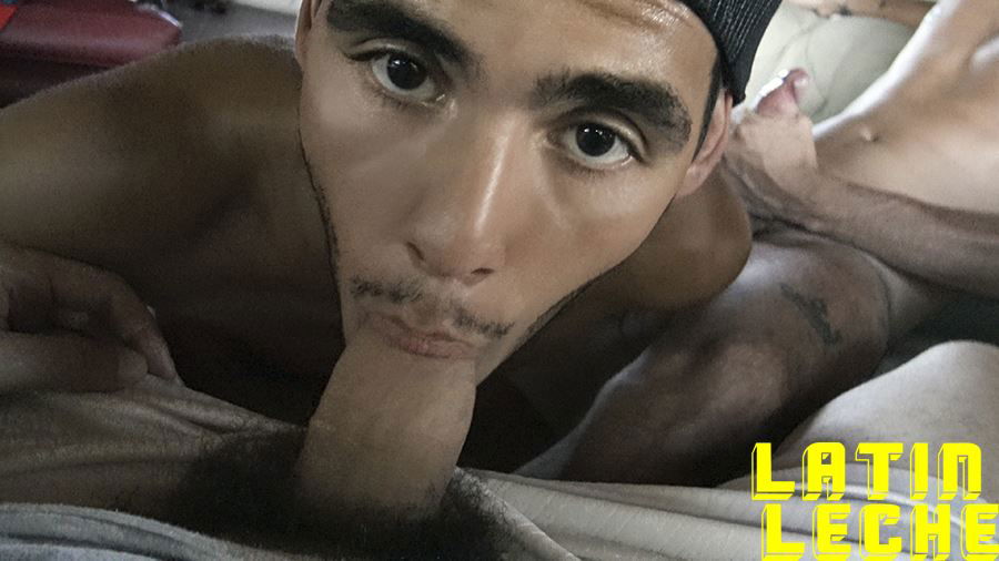 LatinLeche: Numero 11