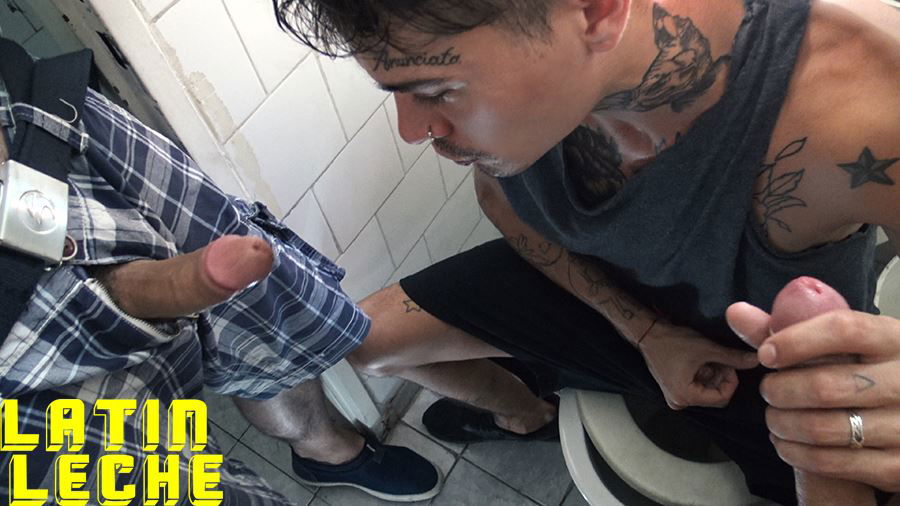 LatinLeche: Numero 12