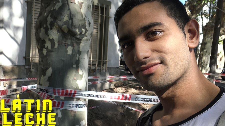 LatinLeche: Numero 13