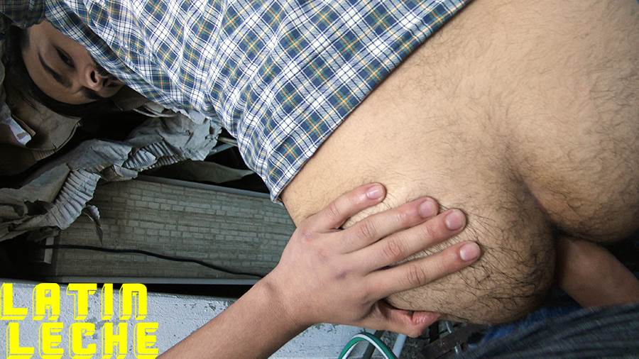 LatinLeche: Numero 23