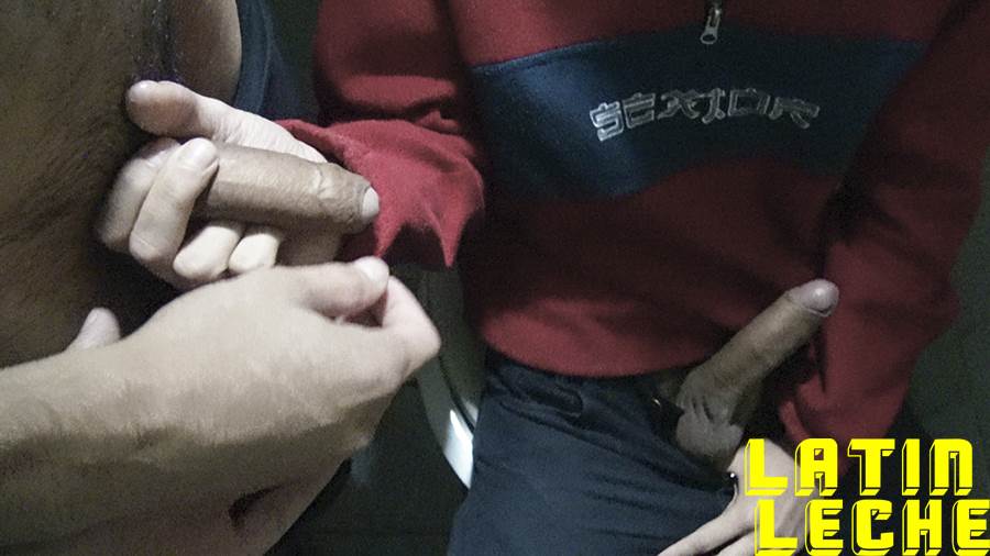 LatinLeche: Numero 26