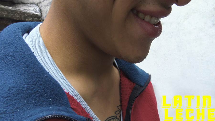 LatinLeche: Numero 26