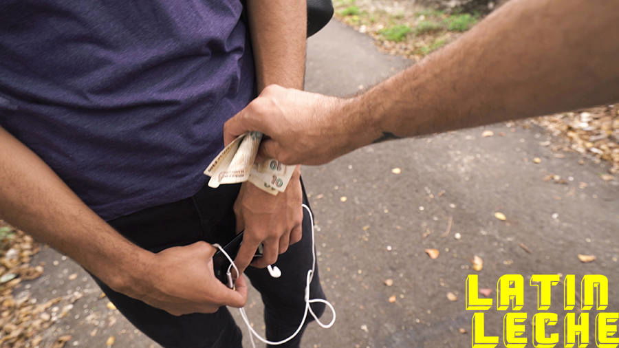 Latin Leche: Numero 28