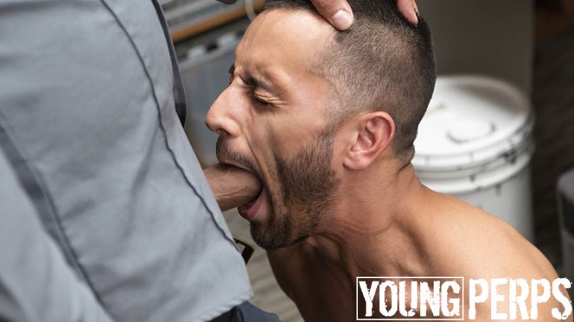 Young Perps: #Case 0041 4