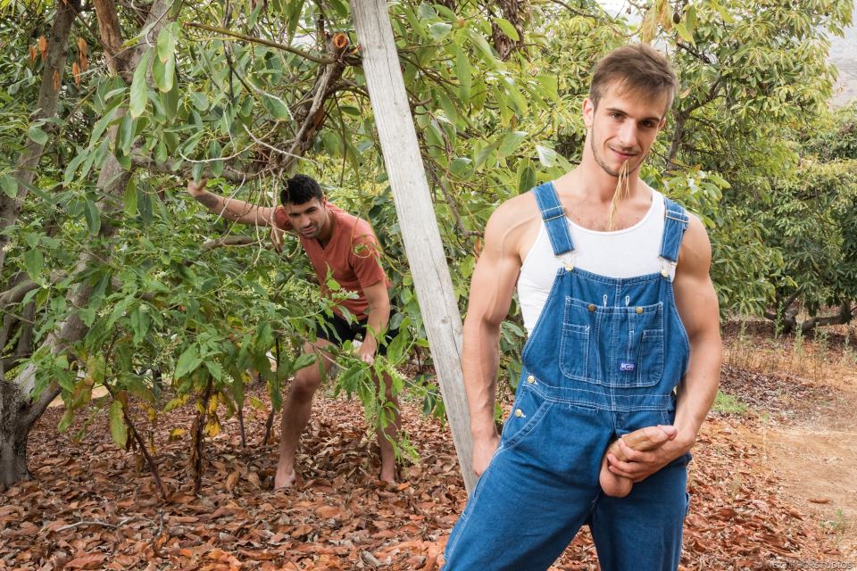 Ian Greene and Donte Thick