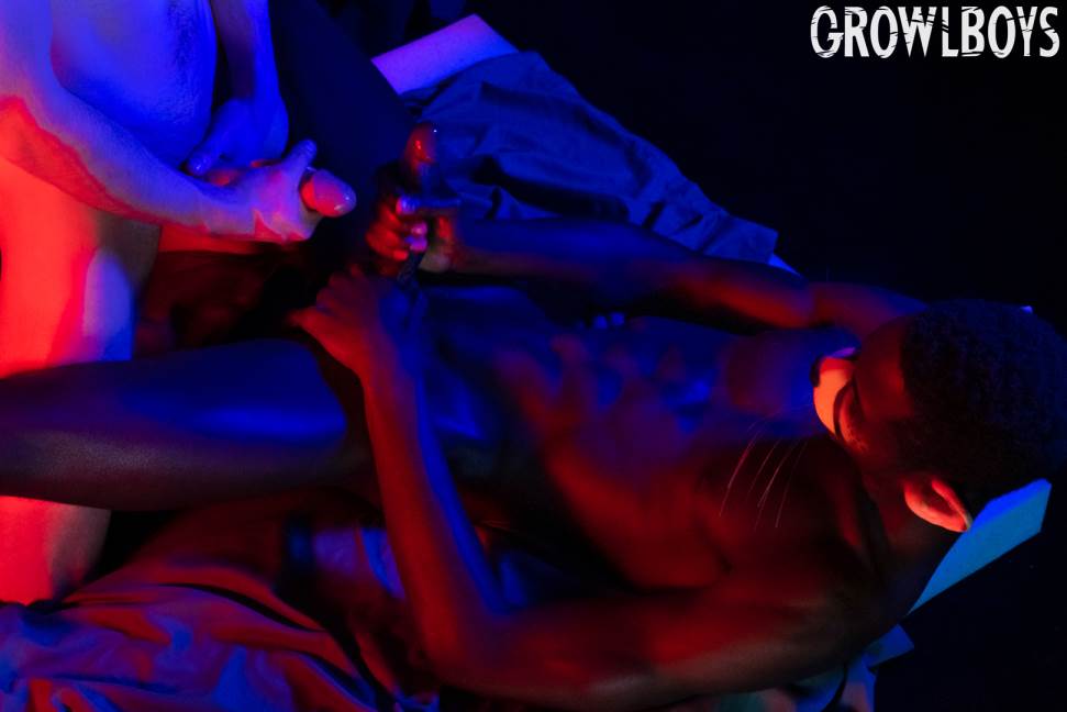 Growl Boys: Big Cat - Drake Magnum and Pierce Paris 4