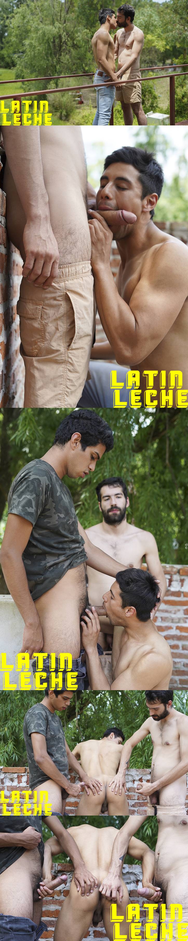 Latin Leche: Numero 73 1