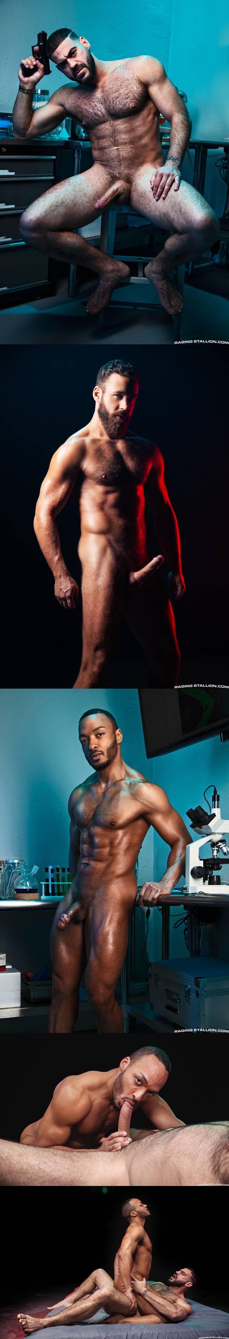 Ricky Larkin, Logan Moore & Dillon Diaz - At Large