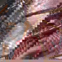 Boynapped: Avery Munroe & Sebastian Kane 1