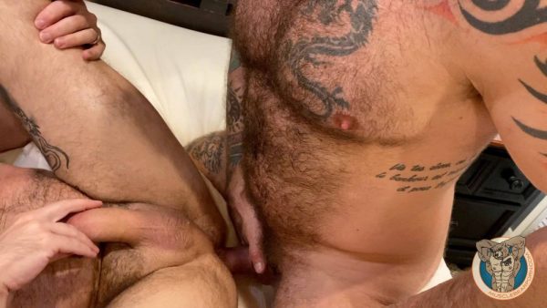 Muscle Bear Porn: Muscle Bear Cum Fest 1