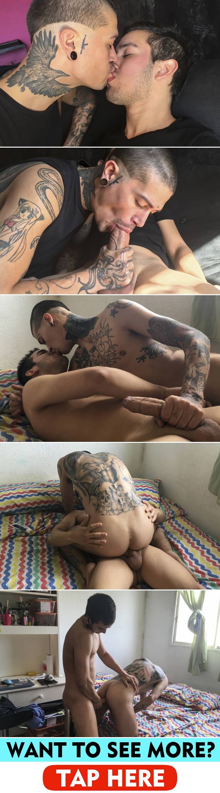 Latin Leche - Numero 155