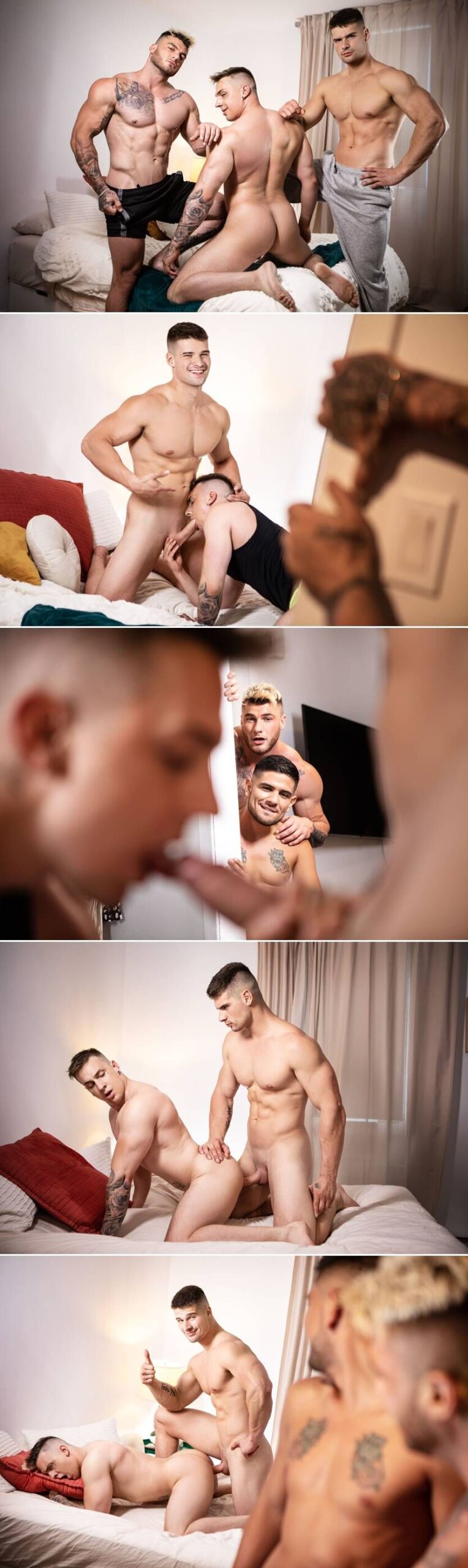 Ace Quinn, Malik Delgaty & William Seed - Dick Signal 1 1