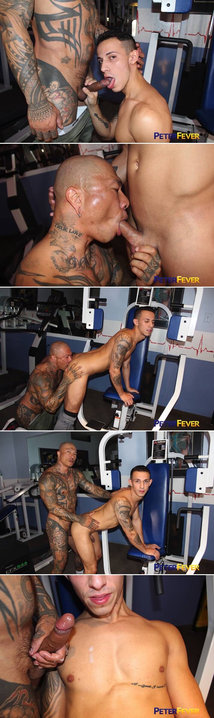 Train HARD 4: Rock That Chest - Damian Dragon & Des Irez