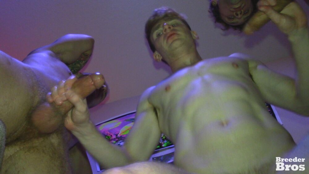 Breeder Bros: College House Dump 4