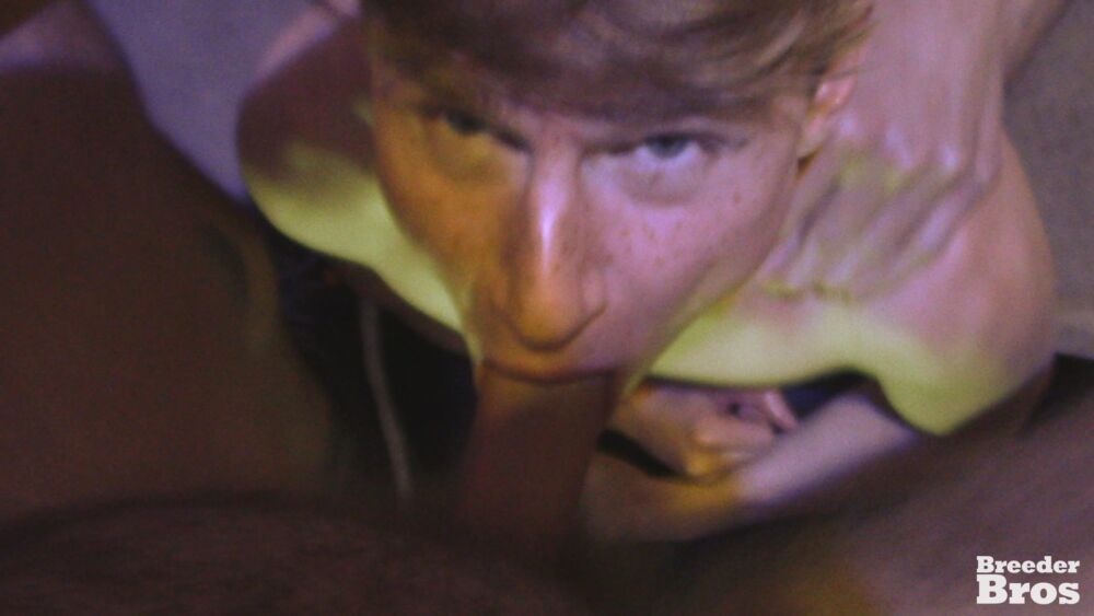 Breeder Bros: College House Dump