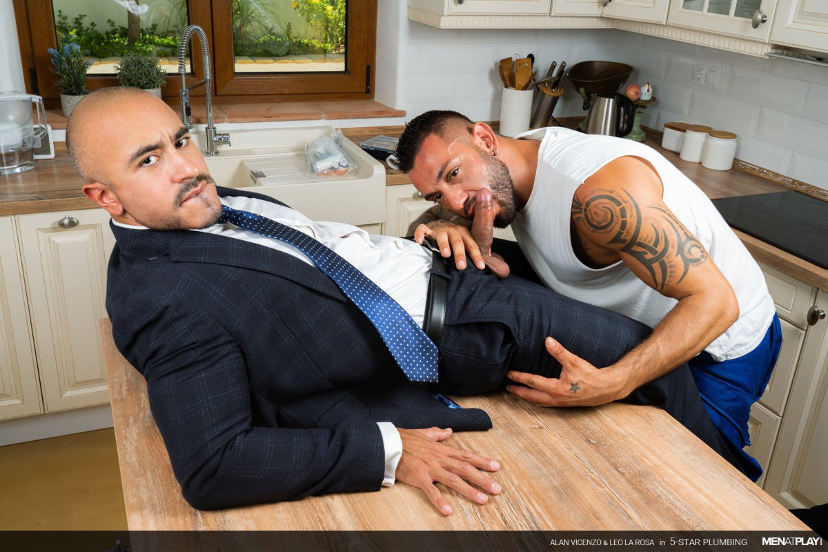 5-Star Plumbing: Alan Vicenzo & Leo La Rosa 6