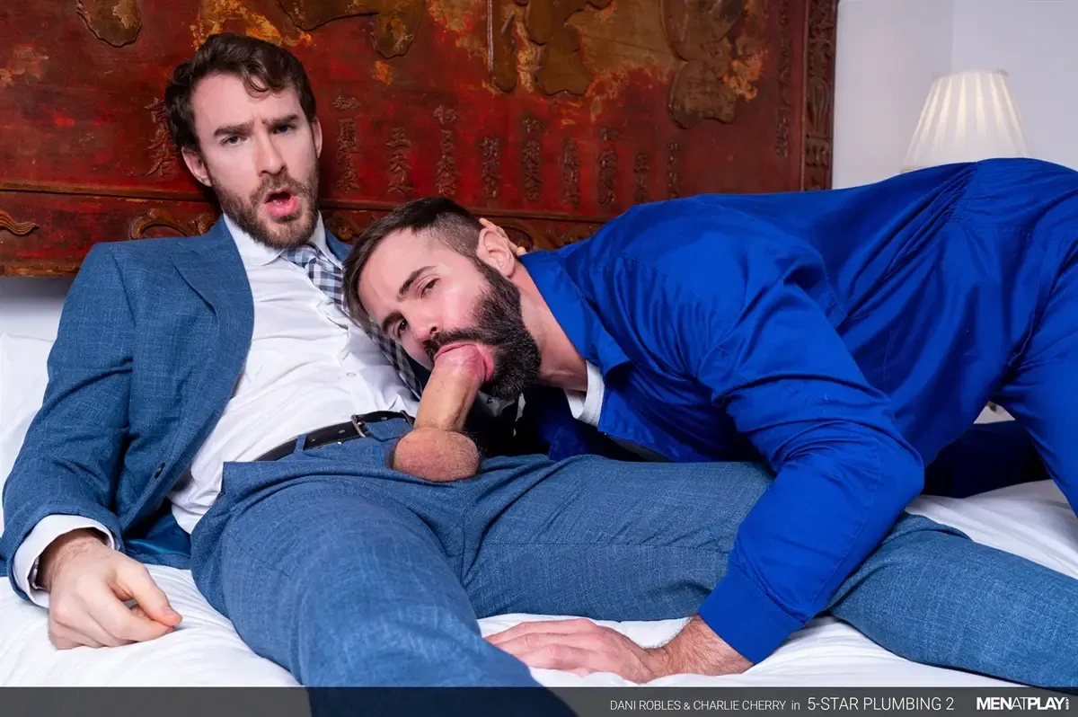 5-Star Plumbing 2: Charlie Cherry & Dani Robles 1