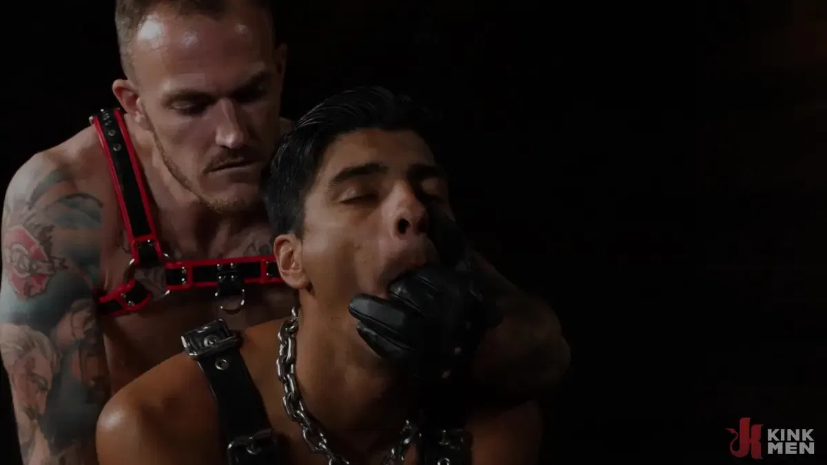 I Know What You Need: Christian Wilde & Apollo Fates 15