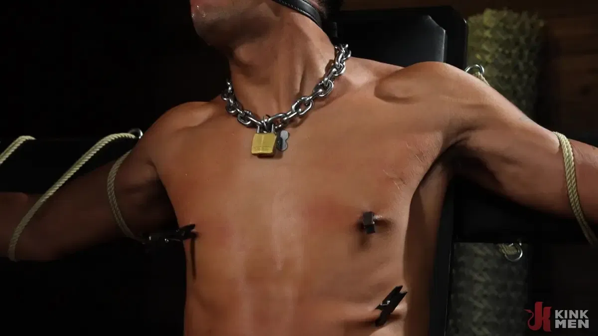 I Know What You Need: Christian Wilde & Apollo Fates 6