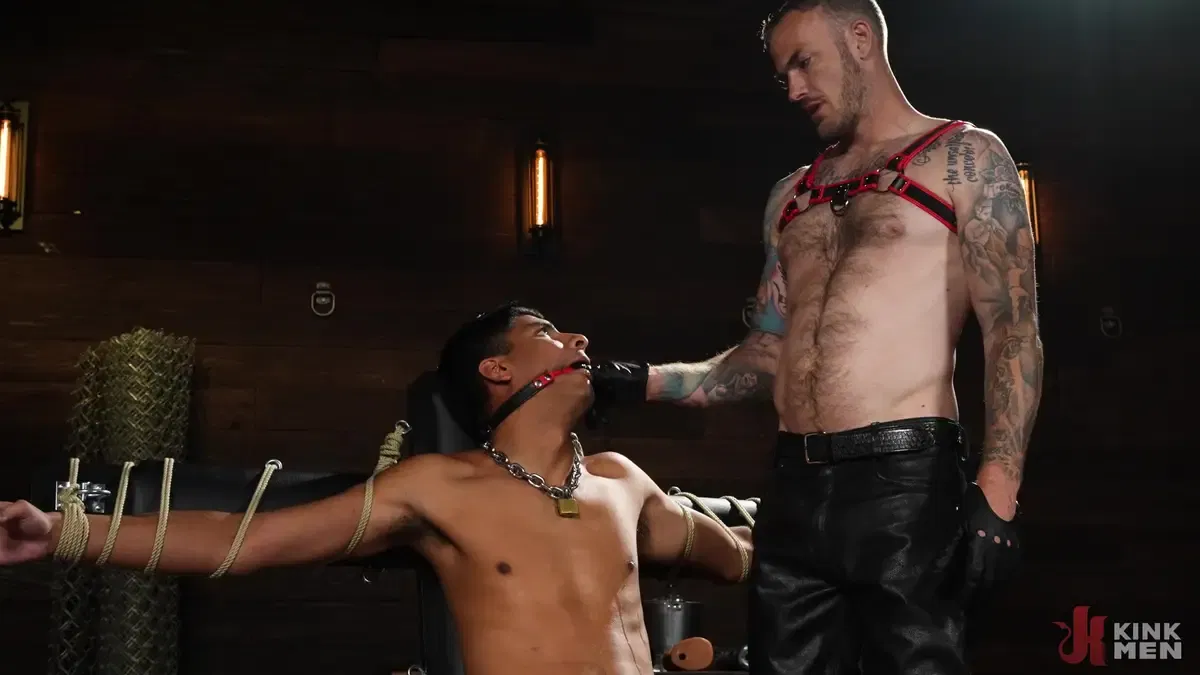 I Know What You Need: Christian Wilde & Apollo Fates