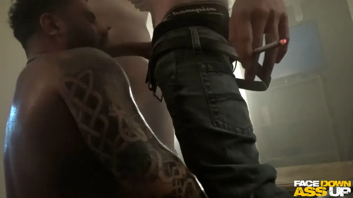 Face Down Ass Up: Pig Packing Party 4