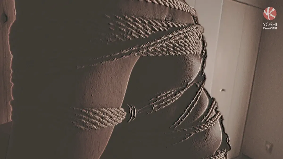 The Art Of Kinbaku - Crucifixion 8