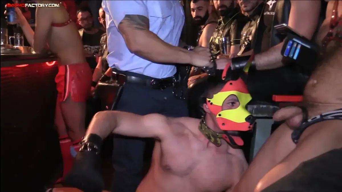 Berlin Dark Puppy Night