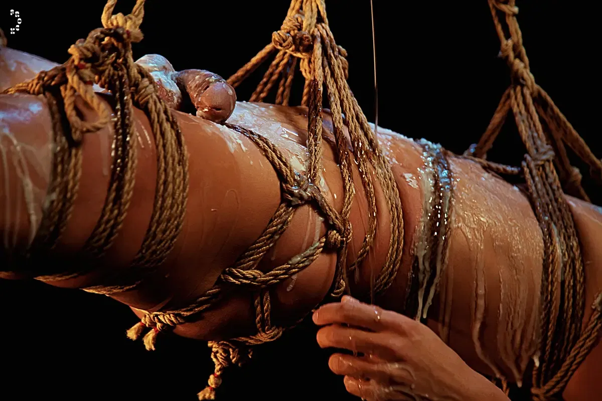 Frock The World Presents ToolBoi - The Human Chandelier 2