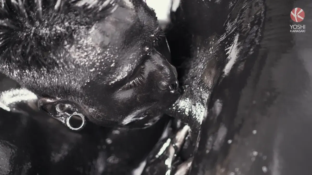 Black Goo: Yoshi Kawasaki & Damian Dragon 6