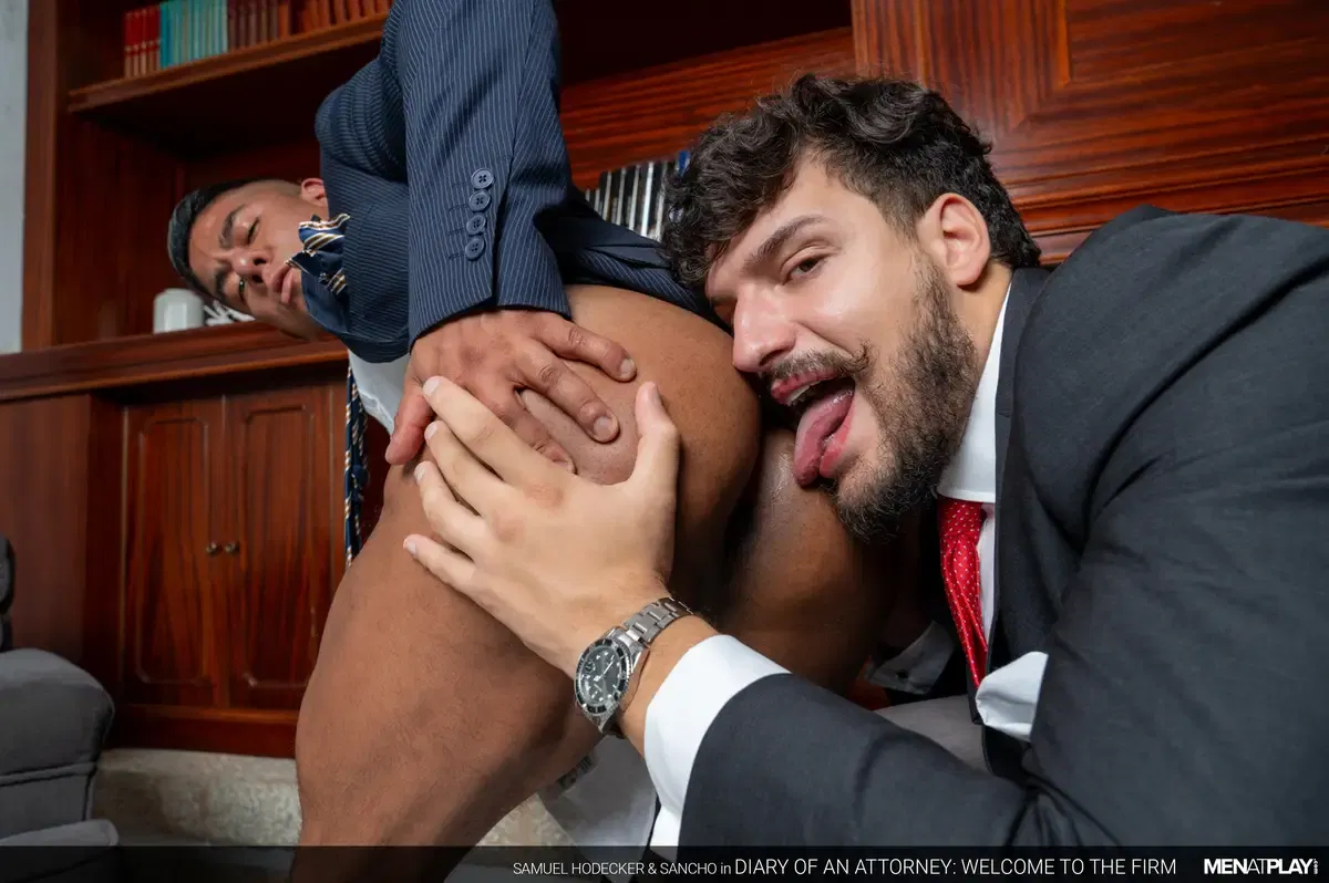 Diary of an Attorney – Part 1: Samuel Hodecker & Sancho 9