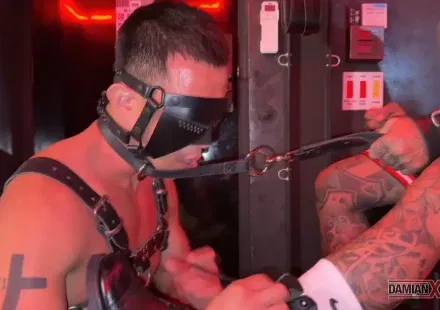 Damian & Ryan Indilge In Pissing, BDSM, & Raw Fucking Gay Porn