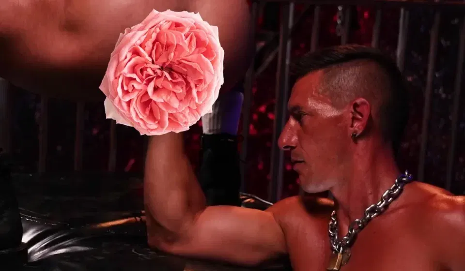 Muscle Punch: Jax Thirio Fists Bruce Jones Gay Porn