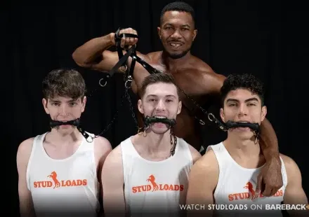 Stud Loads With Stable Master Sean Xavier & 3 New Mares Gay Porn