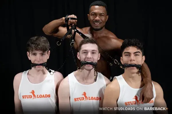 Stud Loads With Stable Master Sean Xavier & 3 New Mares Gay Porn