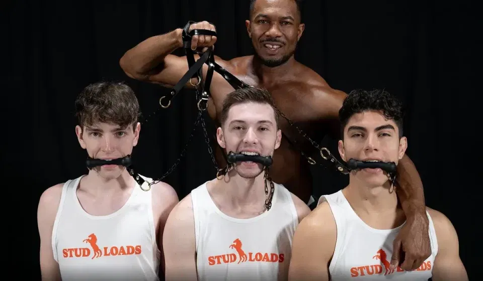 Stud Loads With Stable Master Sean Xavier & 3 New Mares Stud Loads With Stable Master Sean Xavier & 3 New Mares Gay Porn